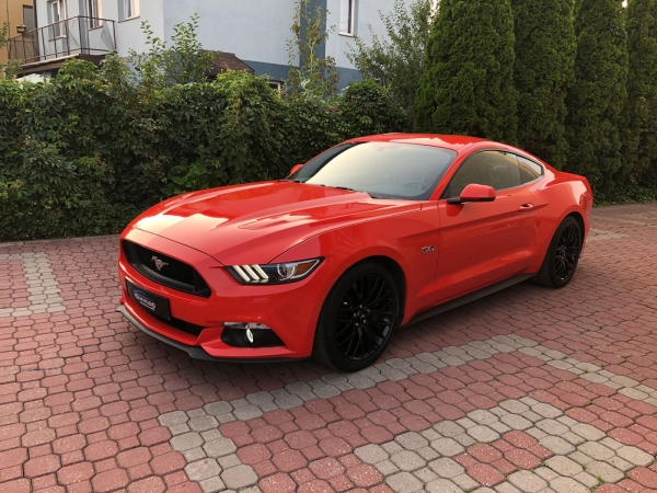 Ford Mustang czyli prawdziwe GT 5.0 przybył na zabiegi